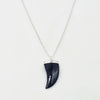 Silver necklace with a black onyx animal tooth-shaped pendant on a white background